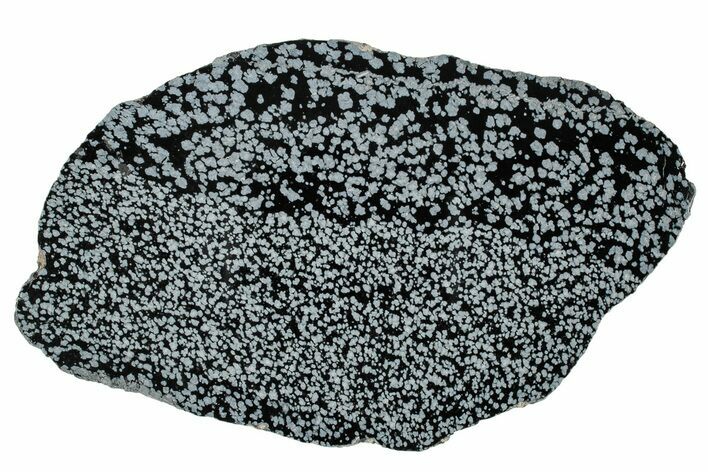 Polished Snowflake Obsidian Slab - Wyoming #336977